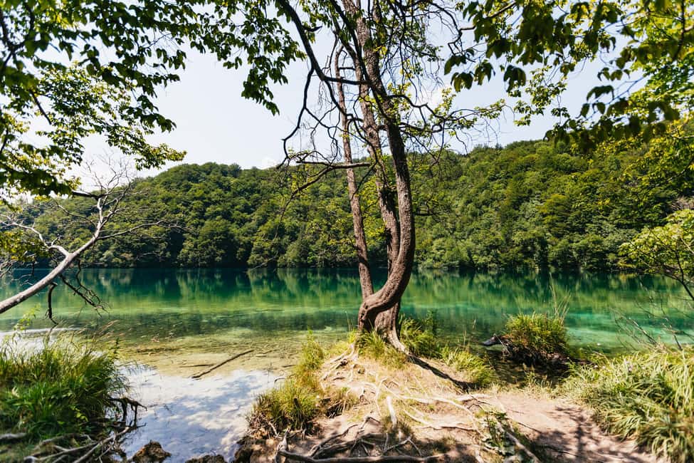 Bild Nr. 13 von Von Split aus: Geführte Tour zu den Plitvicer Seen mit Tickets Aktivität in Split, hochgeladen vom Anbieter