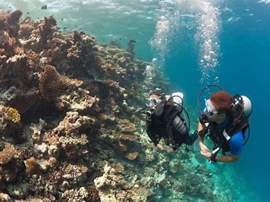image n.4 of PADI Discover Scuba Diving: at Hol Chan Marine Reserve activity in San Pedro, Belize, uploaded by supplier