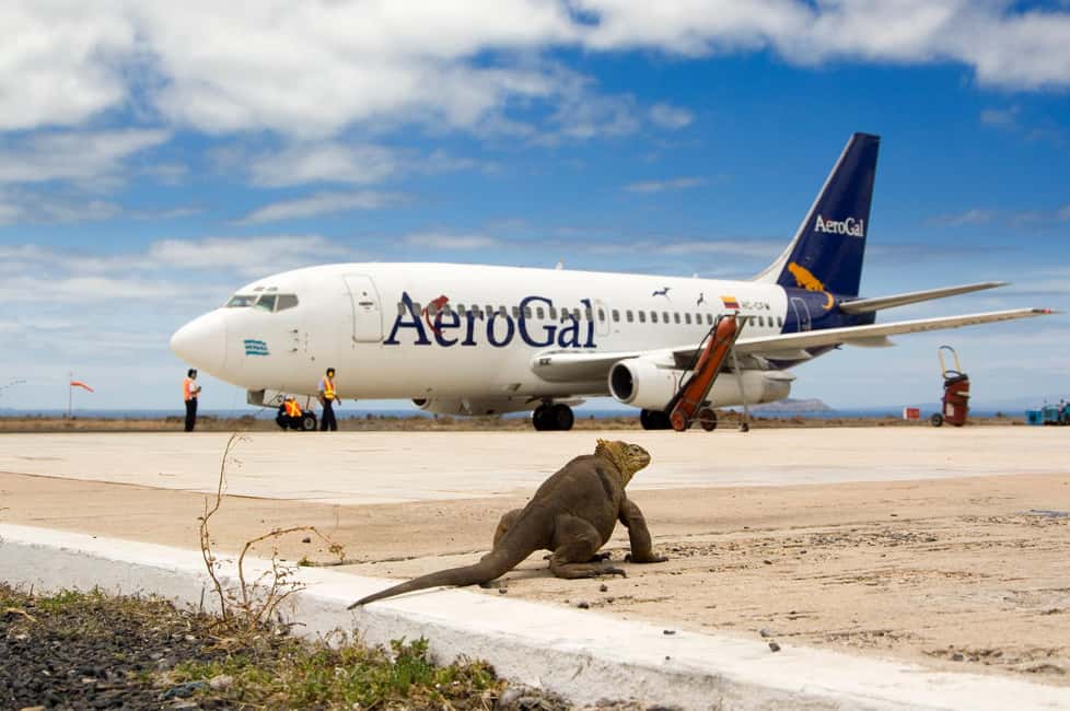 image n.1 of Galapagos GPS Airport Transfers and highlights Tours activity in Galápagos Islands, uploaded by supplier
