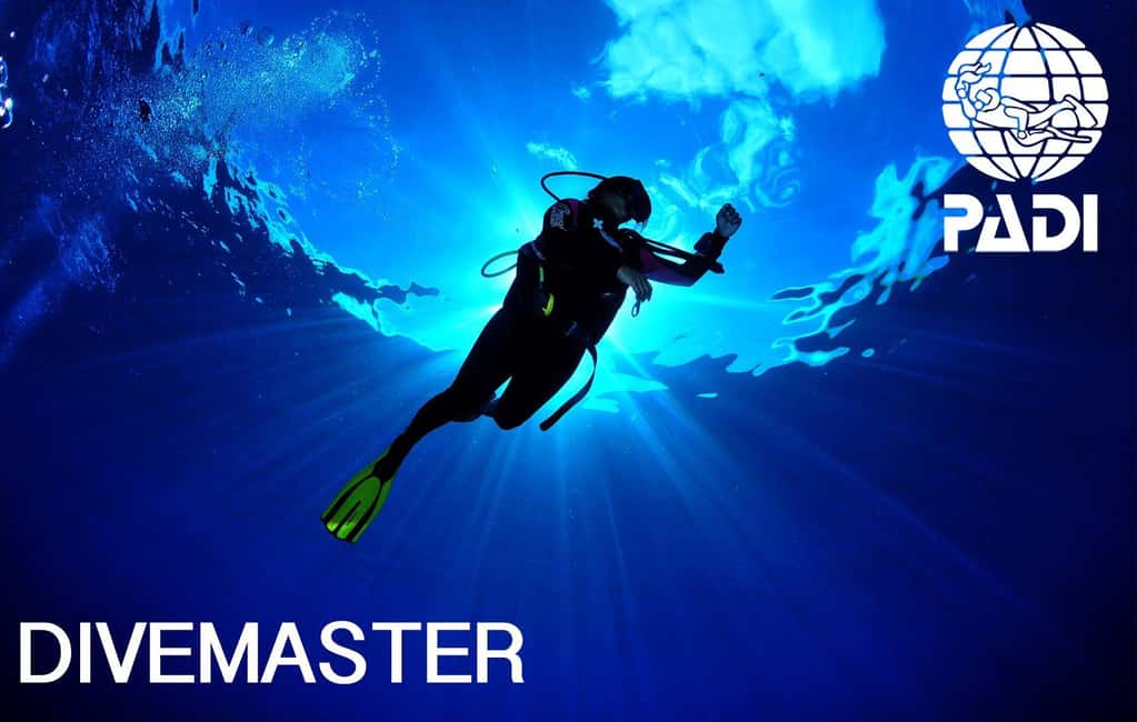 image n.18 of DISCOVER SCUBA DIVING IN LEMORNE with EasydiveMauritius activity in Mauritius, uploaded by supplier