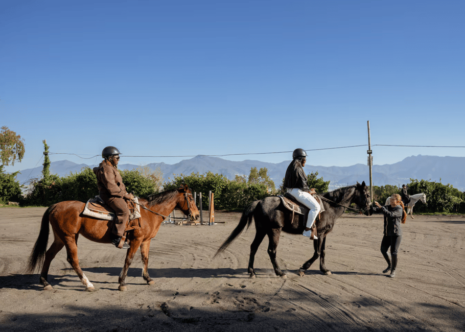 Immagine nº 12 di Pompei: Tour delle rovine e passeggiata a cavallo sul Vesuvio attività a Pompei, Campania, caricata dal fornitore