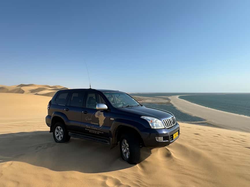 image n.14 of Walvisbay: Sandwich Harbour 4x4 Tour-Unparalleled Experience activity in Erongo, uploaded by supplier