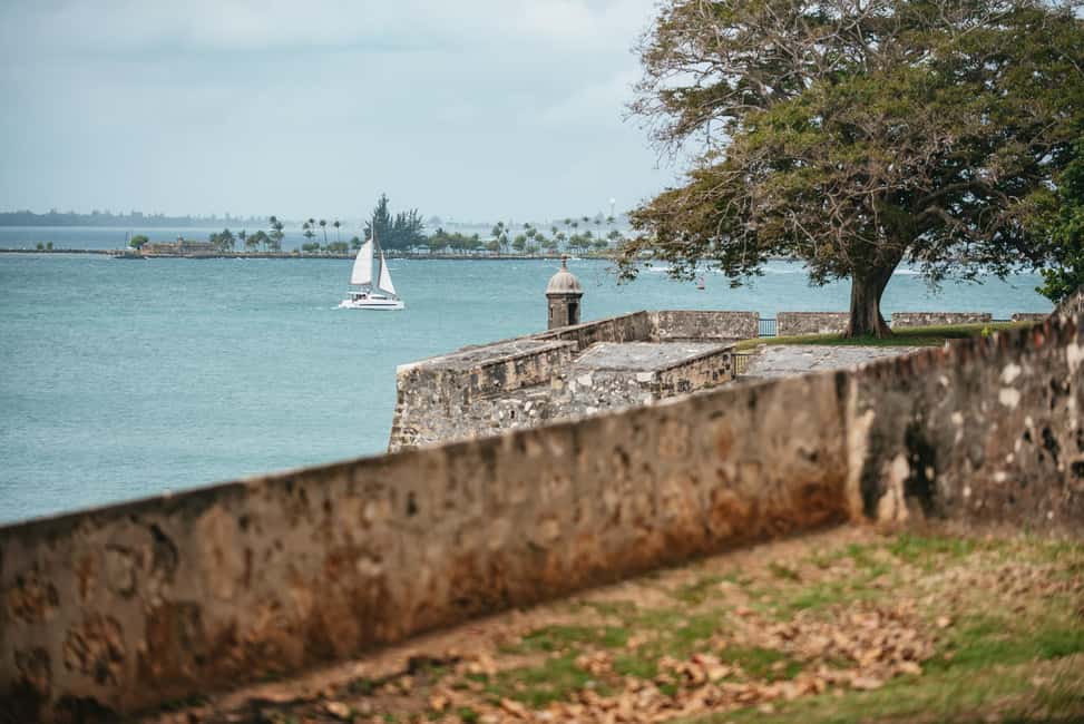 Immagine nº 10 di San Juan: tour a piedi della città vecchia e ingresso al Forte El Morro attività a San Juan, caricata dal fornitore