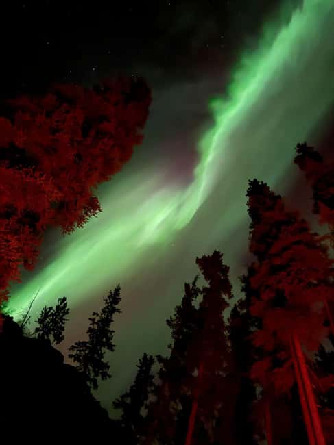 image n.1 of Whitehorse: Aurora Viewing with Wild Adventure Yukon activity in Carcross, uploaded by supplier