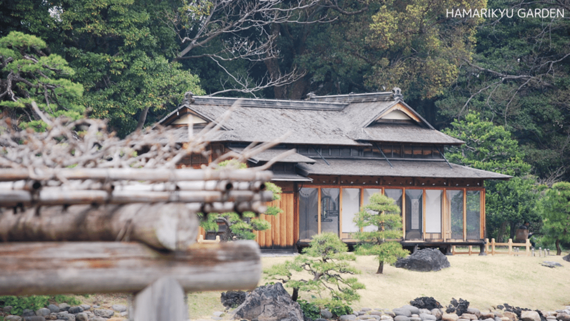 image n.1 of Tokyo: Anywhere you like! Tokyo Customized Tour in 5 hours activity in Tokyo, uploaded by supplier
