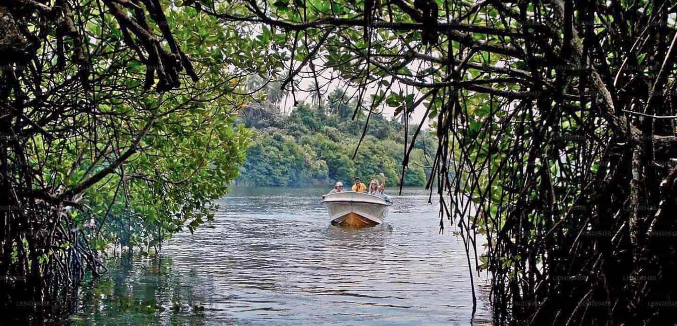 image n.7 of From Colombo: Galle Fort & Hikkaduwa Coastal Day Tour activity in Kosgoda, uploaded by supplier