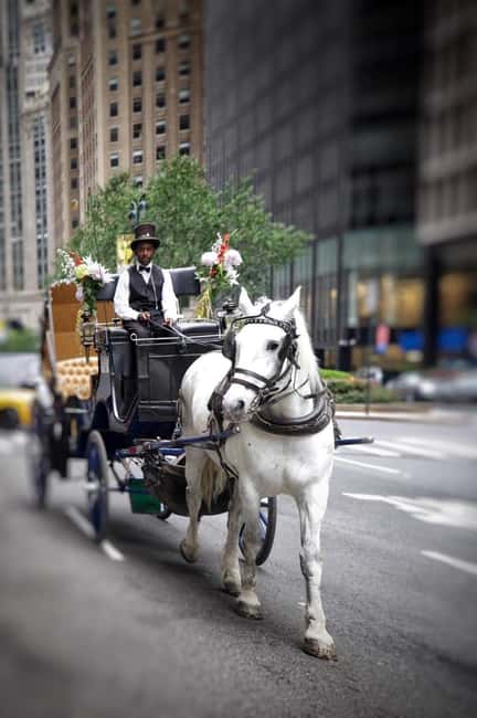 image n.11 of NYC Private Central Park Horse Carriage Ride with Guide activity in New York City, uploaded by supplier