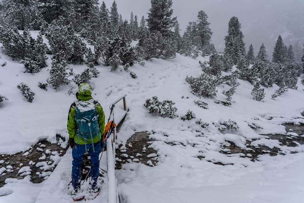 billede nr.10 af aktiviteten En dags vandring med snesko for at opdage Dolomitterne i Mareson, uploadet af udbyder