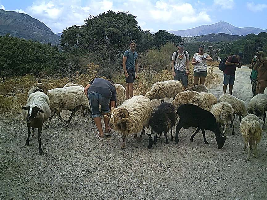 image n.3 of Buggy safari Crete (Transfer and lunch) analipsi- hersonisos activity in Neapolis, Crete, uploaded by supplier