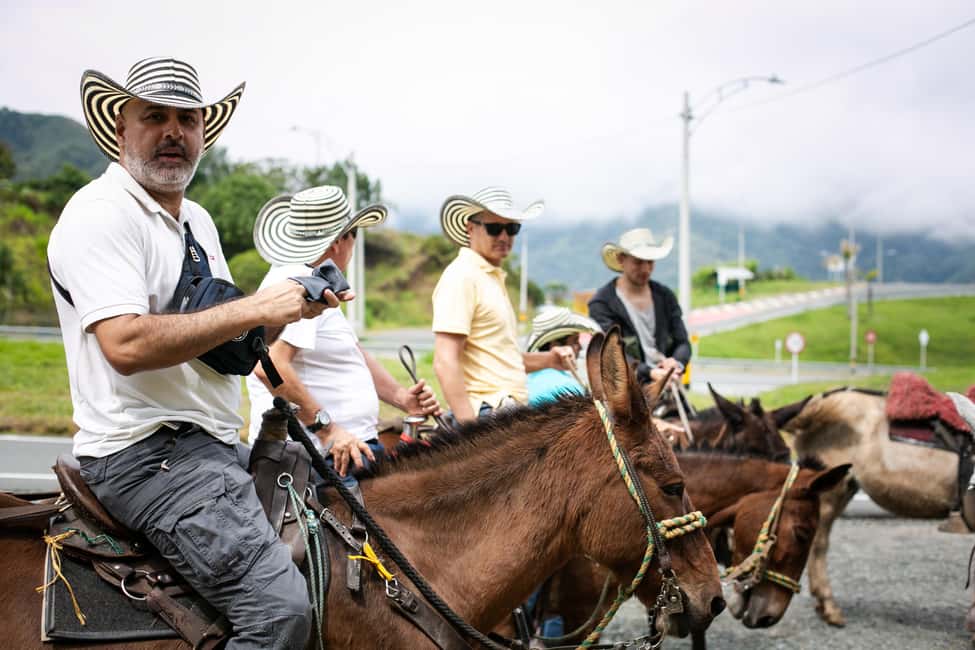 imagem n.2 de Medellín: Tour do café, chegada a cavalo e cana-de-açúcar atividade em Medellín, carregada pelo fornecedor