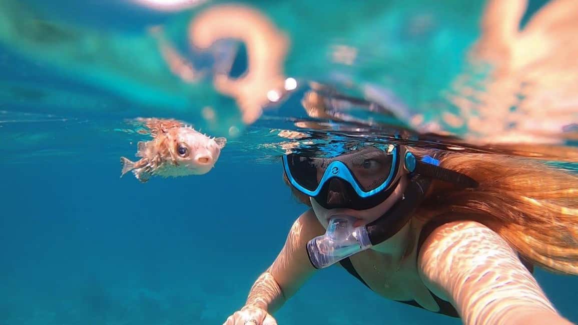 Immagine nº 1 di Muscat: tour di snorkeling con le tartarughe alle isole Daymaniyat attività a Mascate, caricata dal fornitore