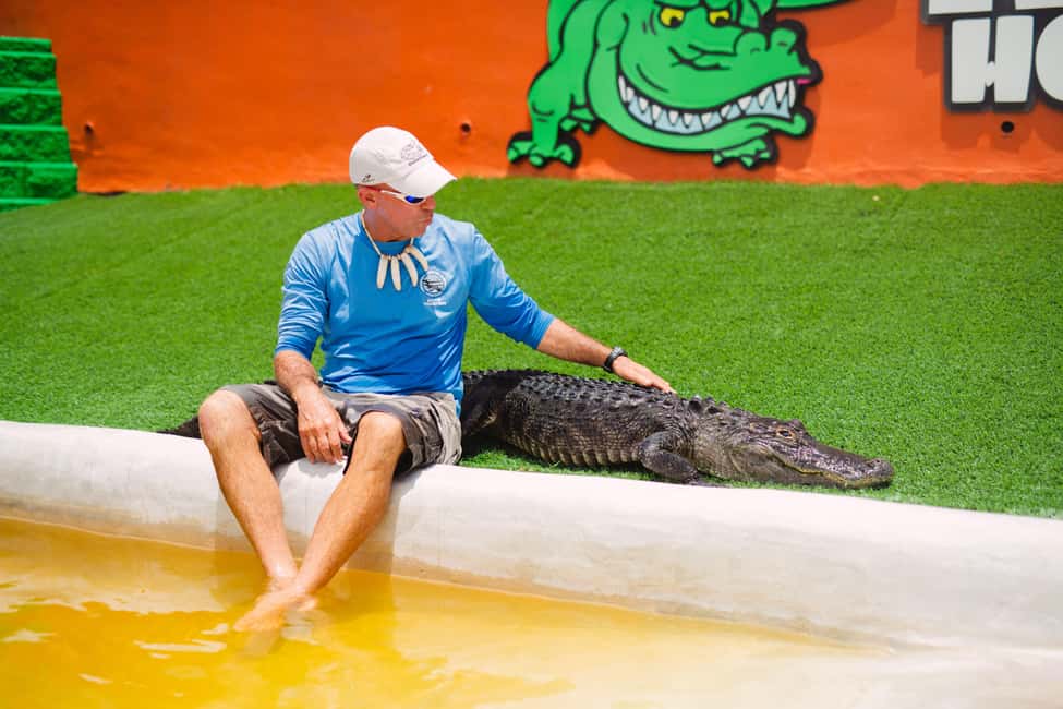 image n.3 of Miami: Wild Everglades Airboat Ride and Gator Encounters activity in Miami, uploaded by supplier