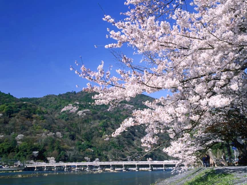 image n.17 of Kyoto/Osaka: Full-Day Guided Tour of Kyoto's Top Highlights activity in Kyoto, uploaded by supplier