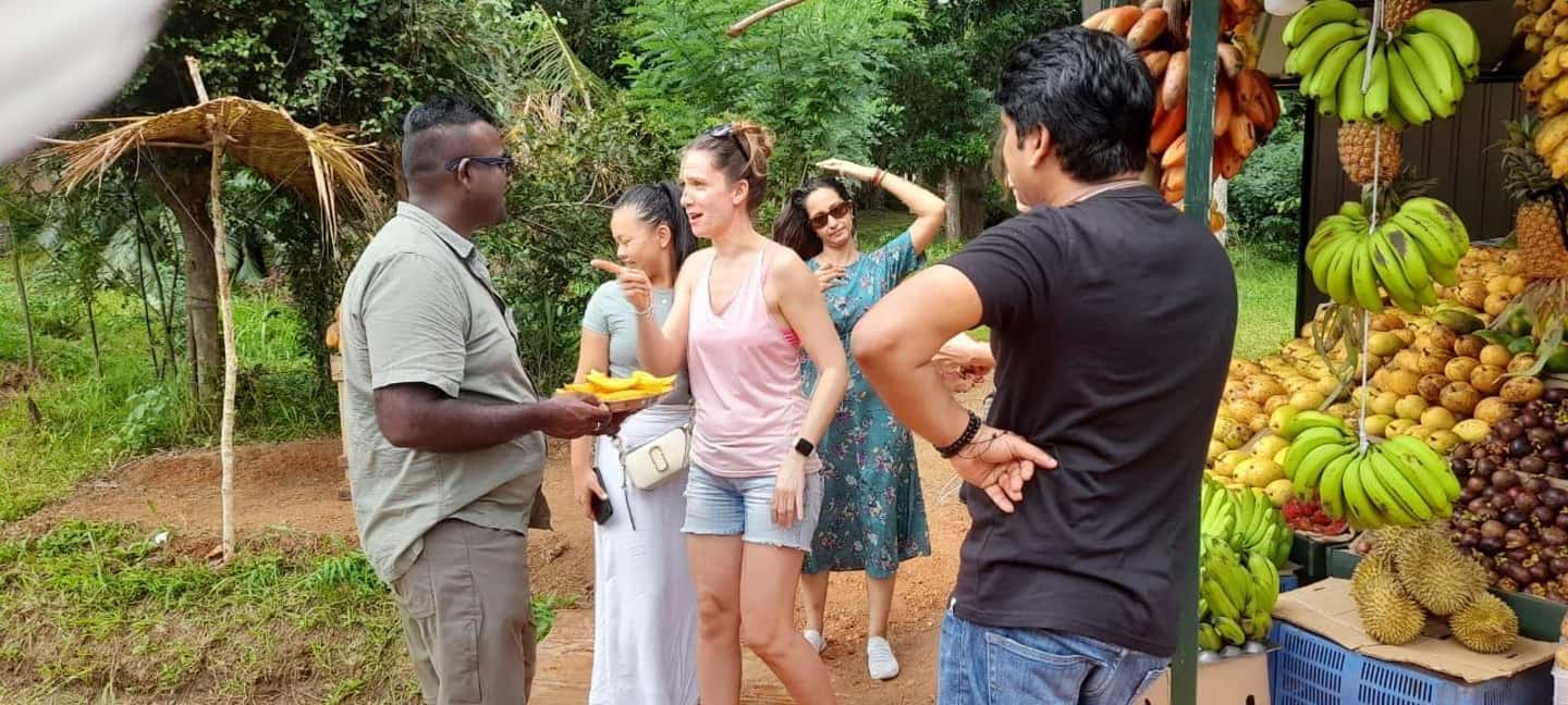 image n.3 of From Colombo: Sigiriya and Dambulla Day Trip and Safari activity in Sigiriya, uploaded by supplier