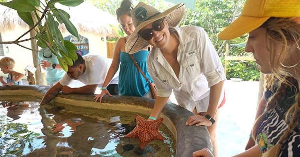 imagen n.º 2 de Cayos de Florida: Excursión de un día a los Encuentros en el Acuario con almuerzo actividad en Marathon, Florida, subida por el proveedor