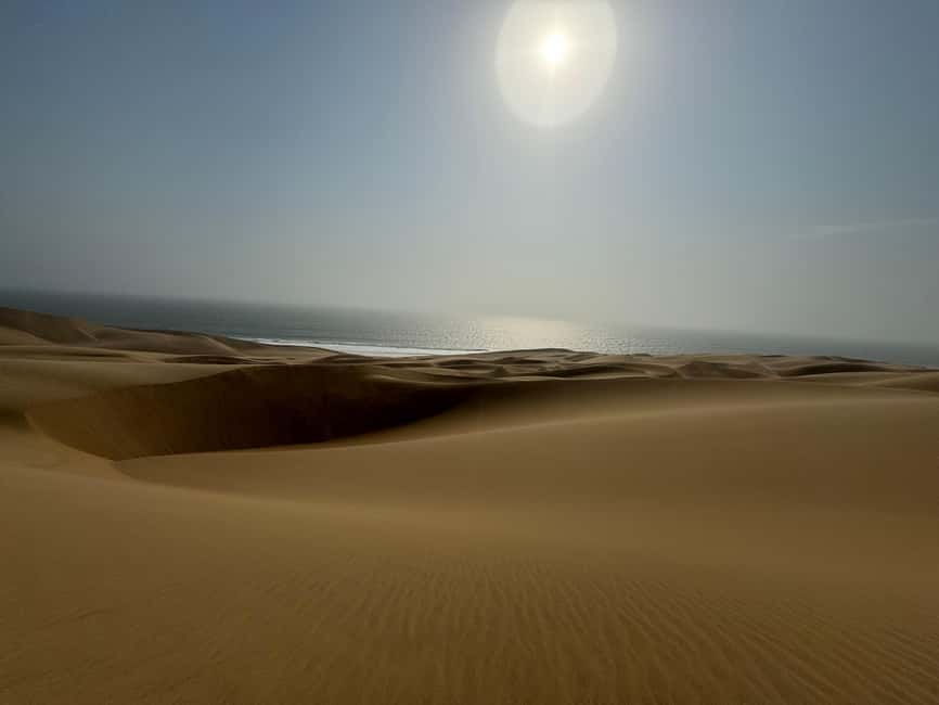 image n.31 of Walvisbay: Sandwich Harbour 4x4 Tour-Unparalleled Experience activity in Erongo, uploaded by supplier
