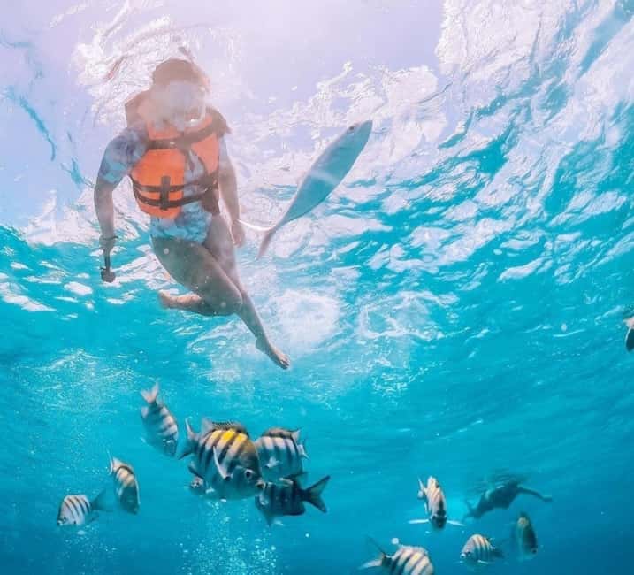 image n.8 of Puerto Vallarta: Los Arcos Islands Boat Tour and Snorkeling activity in Puerto Vallarta, uploaded by supplier