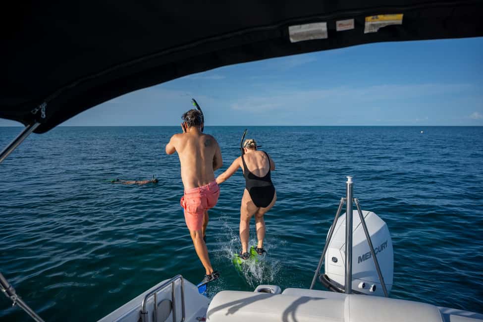 imagen n.º 3 de Delfines y snorkel en Cayo Hueso actividad en Estados Unidos, subida por el proveedor