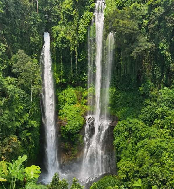 image n.1 of North Bali: Sekumpul and Banyumala Waterfalls & Rice Terrace activity in Bali, uploaded by supplier