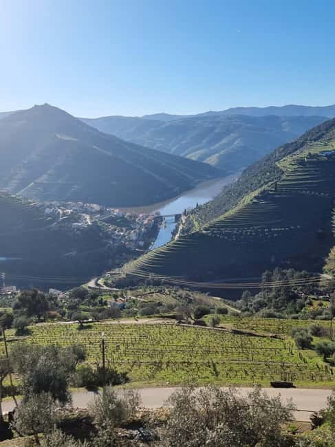 image n.28 of DOURO VALLEY: Premium Wine Tour, Winery Lunch & Private Boat activity in Peso da Régua, uploaded by supplier