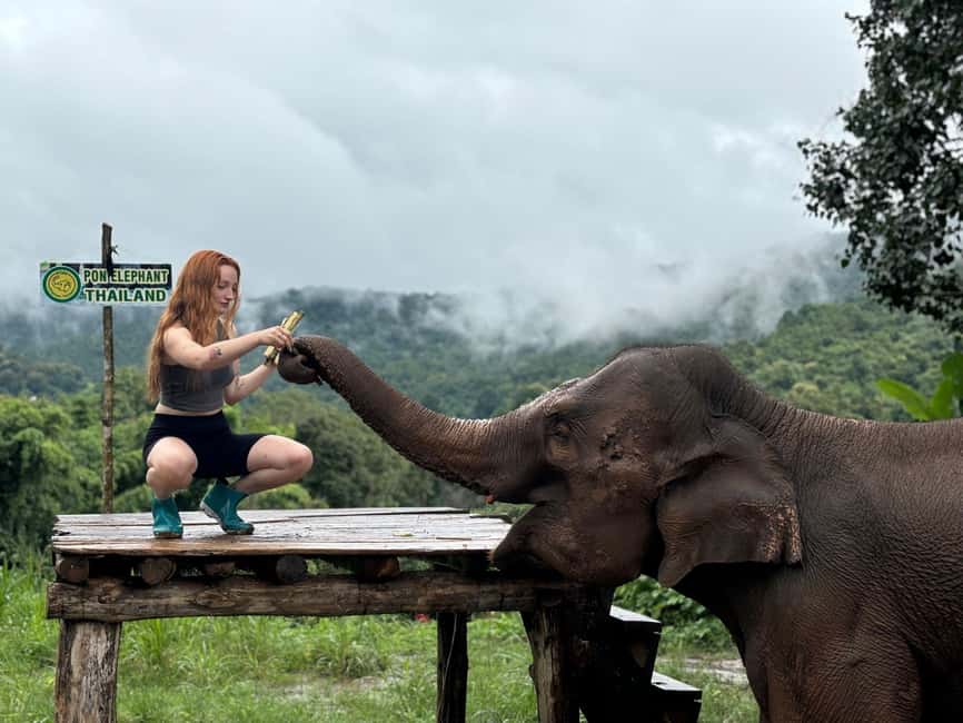 image n.6 of Chiang Mai: Elephant Sanctuary, Waterfall & Bamboo Rafting activity in Chiang Mai, uploaded by supplier