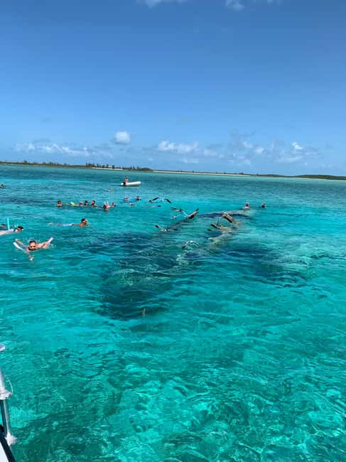 Image N°10 de Nassau : Découvrez l'île d'Exuma et nagez avec des cochons. activité à Exumas, publiée par le prestataire