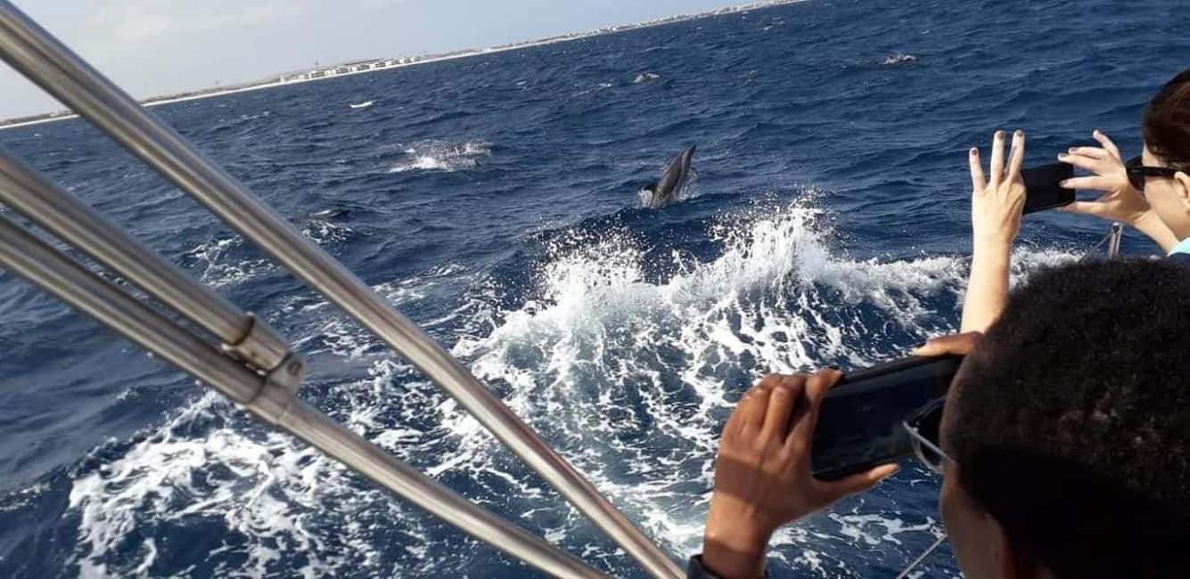 imagem n.8 de Aluguel de barco inesquecível de meio dia - Ilha do Sal, Cabo Verde atividade em Santa Maria, Cabo Verde, carregada pelo fornecedor