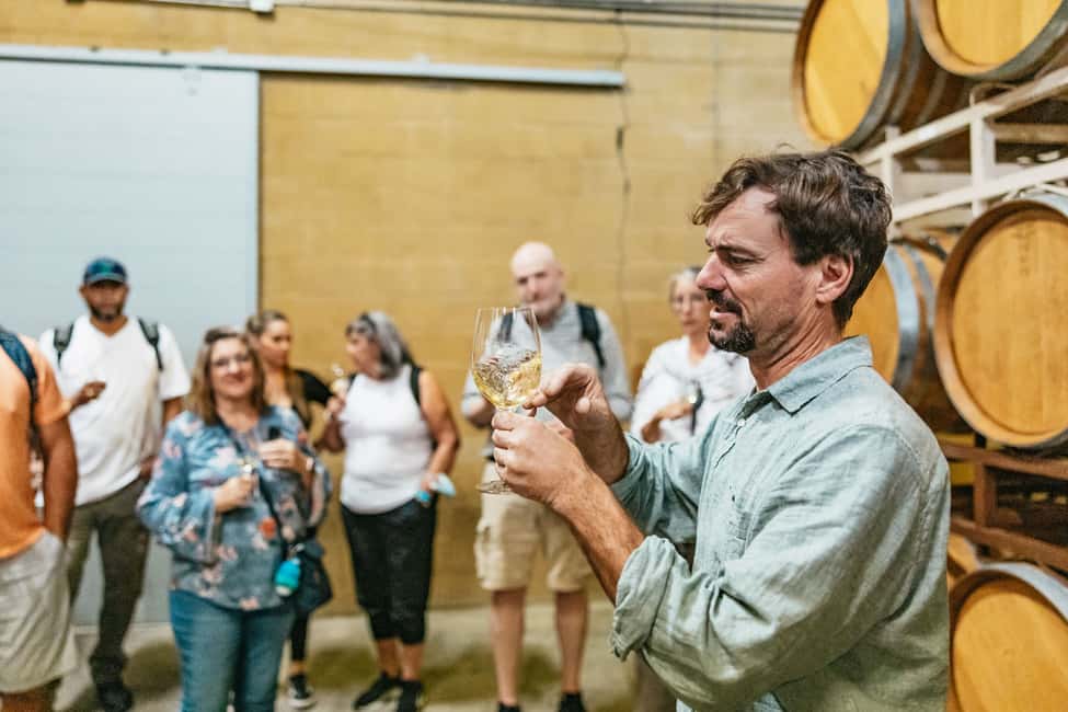 image n.16 of San Francisco: Half-Day Wine Country Excursion with Tastings activity in San Francisco, uploaded by supplier