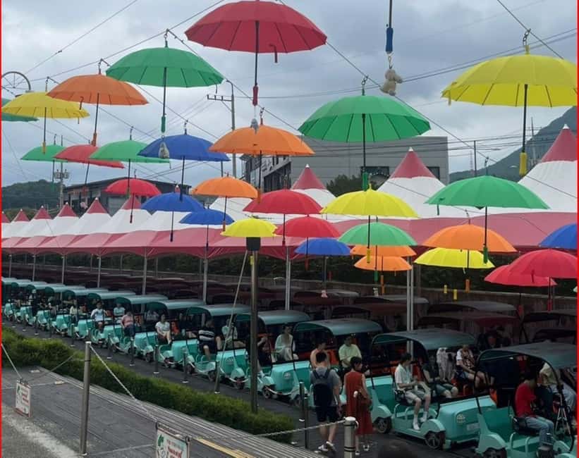 imagen n.º 12 de Desde Seúl: Parque de las Begonias, bicicleta sobre raíles y visita a los jardines. actividad en Gapyeong-gun, subida por el proveedor