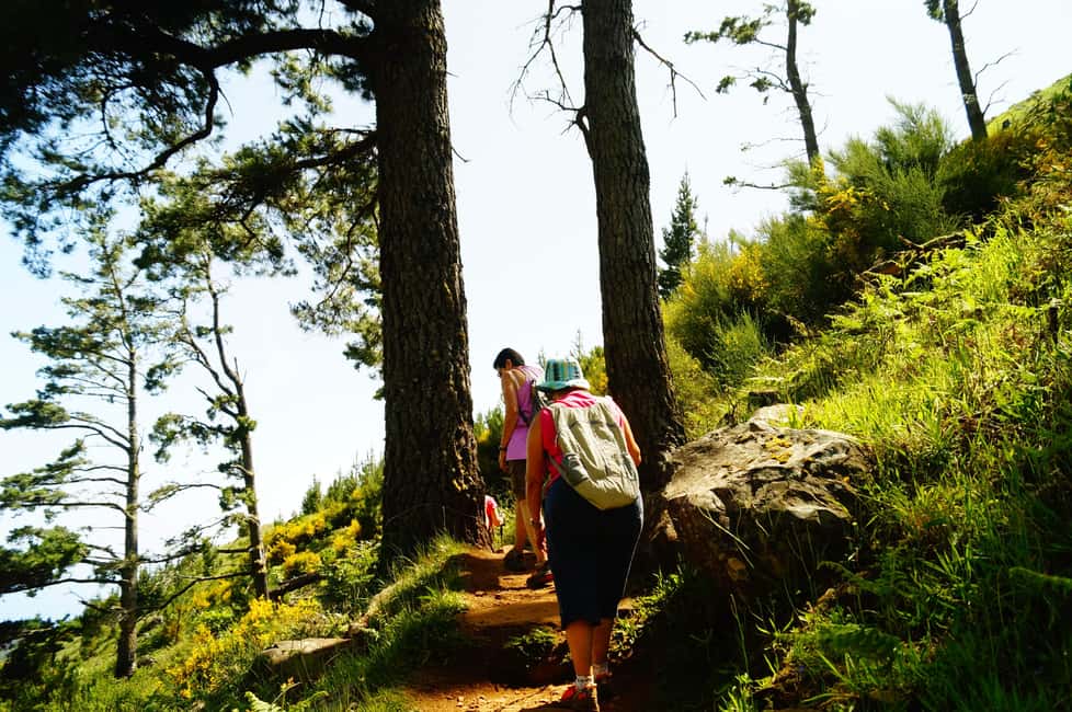 billede nr.11 af aktiviteten Madeira: Solopgang ved Pico do Arieiro + 2 vandreture - PR1 og PR3 i Curral das Freiras, uploadet af udbyder
