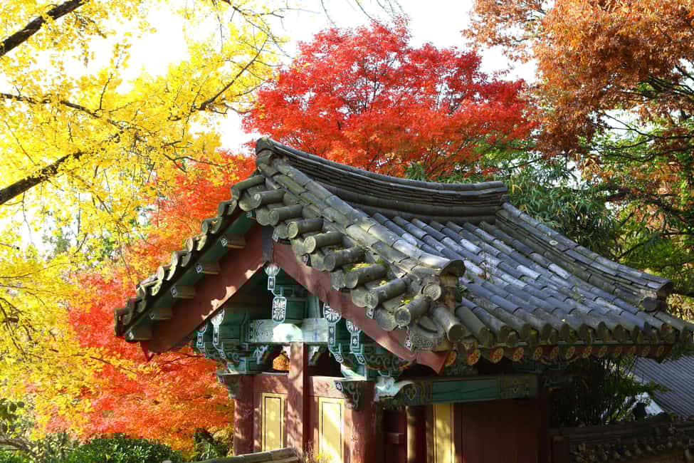 Image N°13 de Au départ de Busan : visite guidée d'une journée à Gyeongju, patrimoine mondial de l'UNESCO activité à Gyeongju, publiée par le prestataire