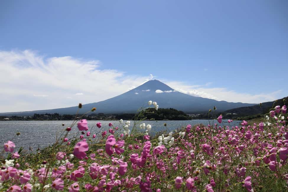 image n.39 of Tokyo: Mt. Fuji, LakeKawaguchiko, Pagoda, & Oishi Park Tour activity in Fujinomiya, uploaded by supplier