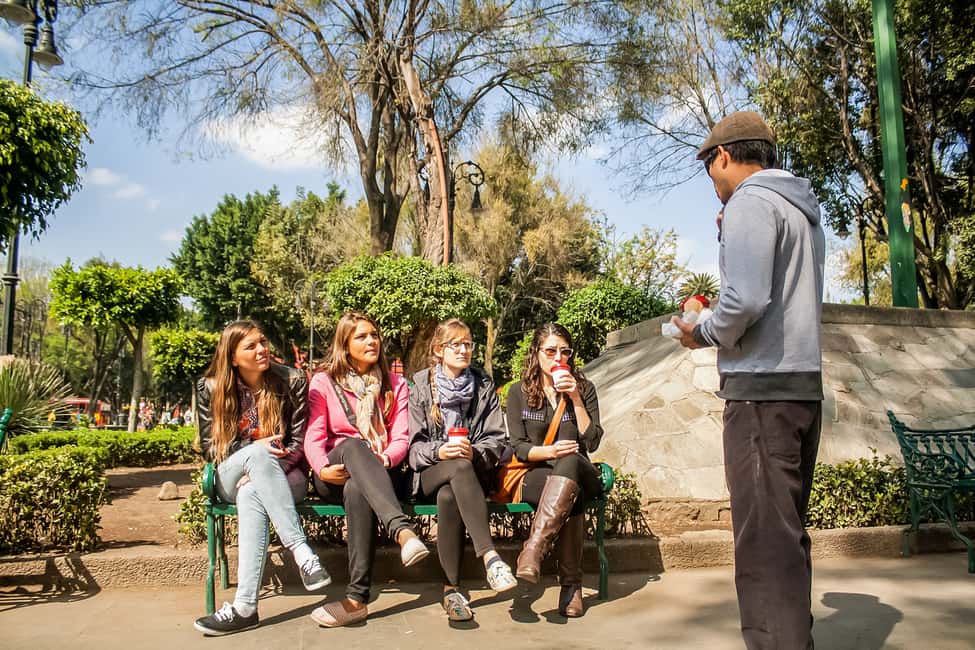 image n.5 of CDMX: Xochimilco, Coyoacan, Frida Kahlo Museum & Murals Tour activity in Mexico City, uploaded by supplier