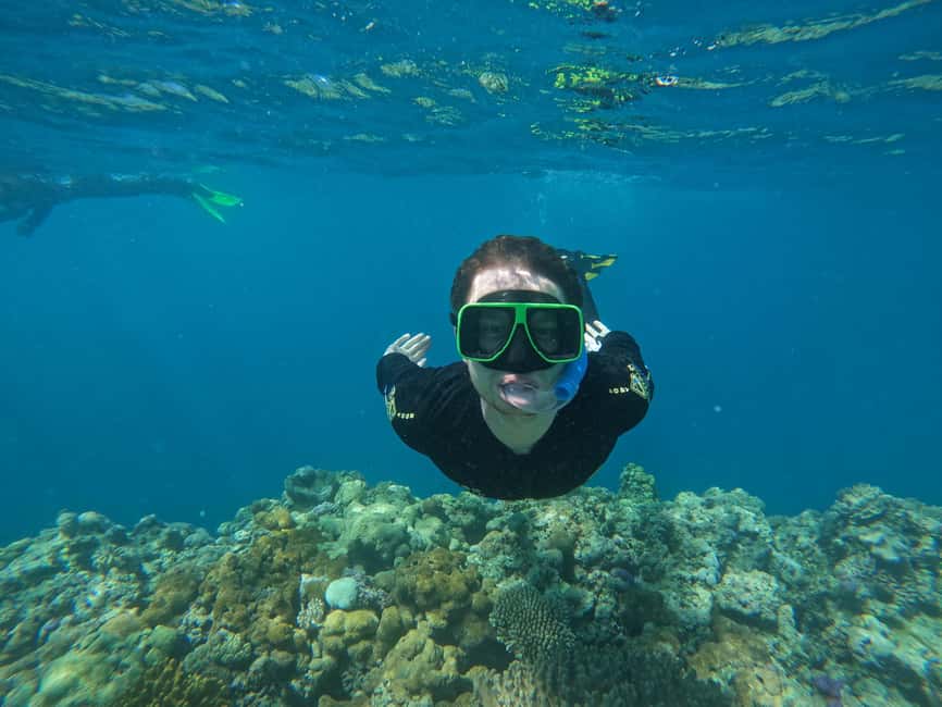 image n.5 of Airlie Beach: Great Barrier Reef & Whitehaven Beach Tour activity in Queensland, uploaded by supplier