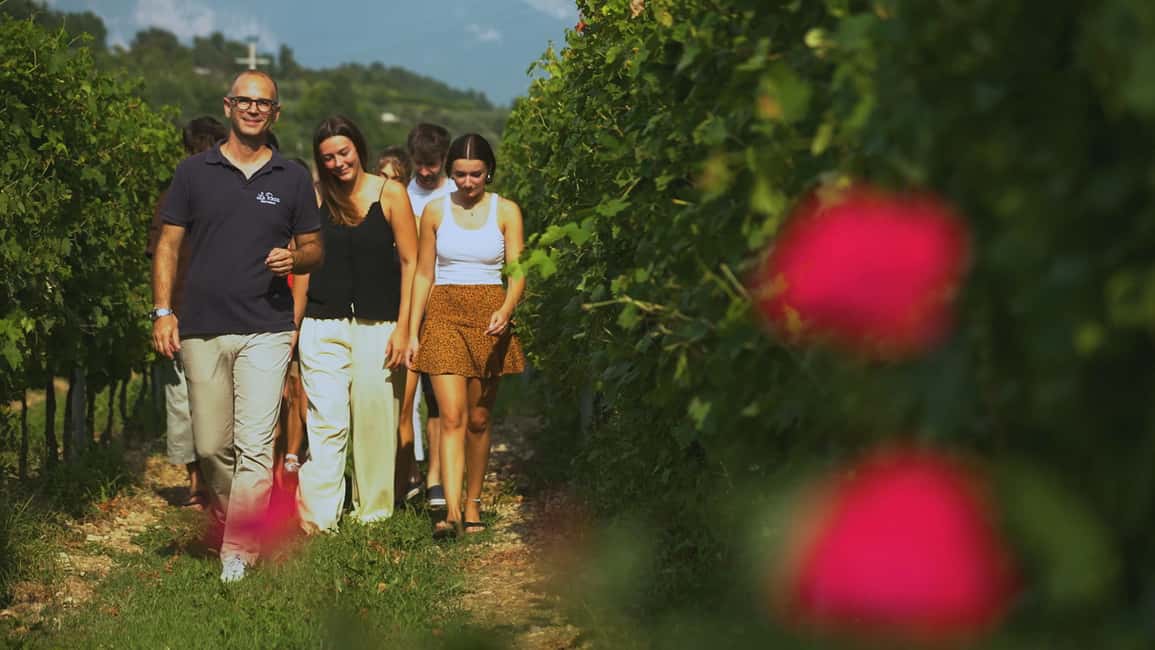 image n.4 of Bardolino: Vineyard Tour with Wine, Olive Oil & Food Tasting activity in Lombardy, uploaded by supplier