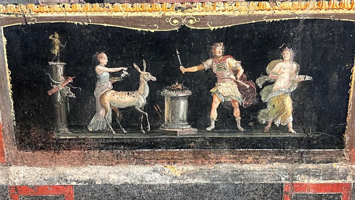 Image N°9 de Excursion d'une journée en train de Rome à Pompéi et Naples avec déjeuner activité à Pompei, Campanie, publiée par le prestataire