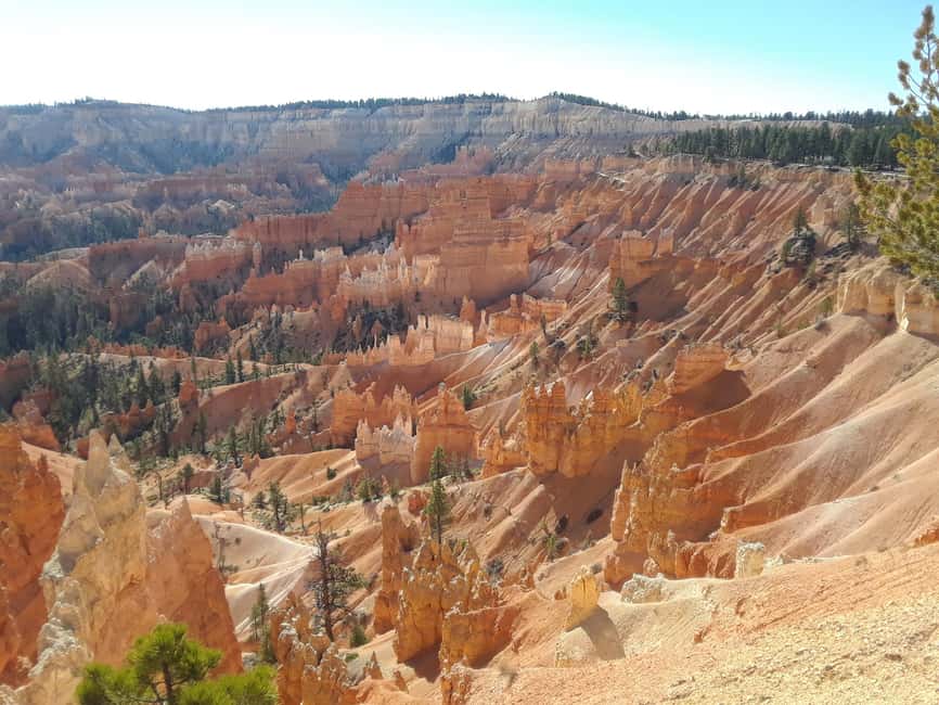 image n.8 of Small Group Tour Zion & Bryce Canyon National from Las Vegas activity in Utah, uploaded by supplier