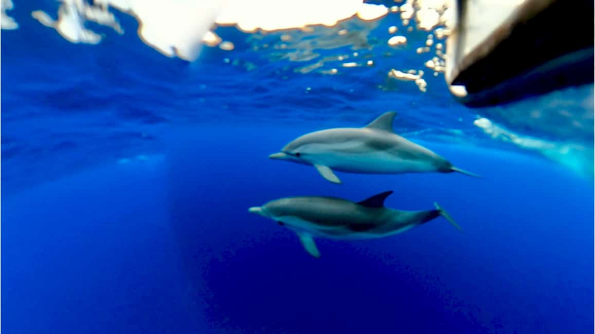 image n.5 of Naxos: Taormina Boat Tour with Snorkeling and Prosecco activity in Taormina, uploaded by supplier