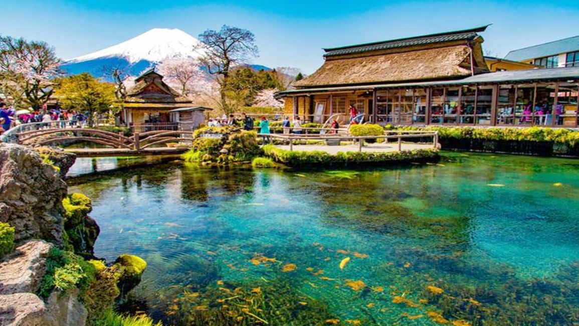 obrázek č.5 aktivity Tokio: Celodenní výlet po šesti majestátních místech hory Fuji v destinaci Fujikawaguchiko, nahraný poskytovatelem aktivity