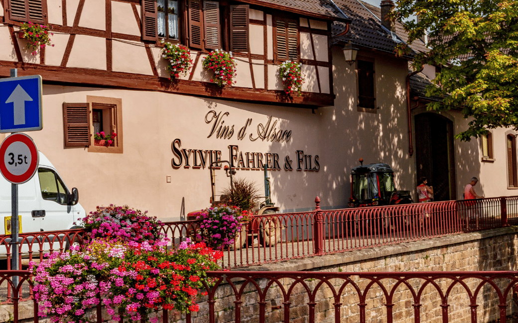 image n.3 of Alsace: Winery Tour and Alsatian Wine Tasting activity in Thann, uploaded by supplier
