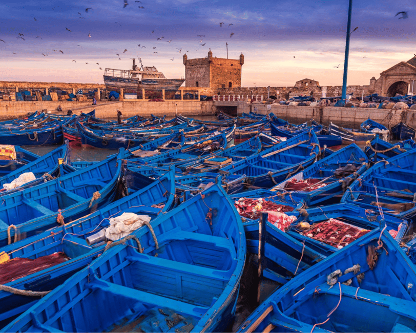Immagine nº 1 di Da Marrakech: Escursione di una giornata intera a Essaouira attività a Essaouira, caricata dal fornitore