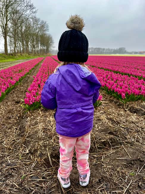 image n.45 of From Lisse: Keukenhof Flower Fields Bike Tour activity in Lisse, uploaded by supplier
