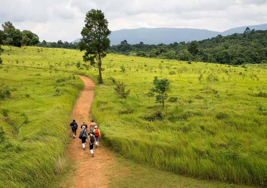 imagen n.º 2 de Desde Bangkok: Excursión de un día en grupo reducido al Parque Nacional de Khao Yai actividad en Provincia de Nakhon Nayok, subida por el proveedor