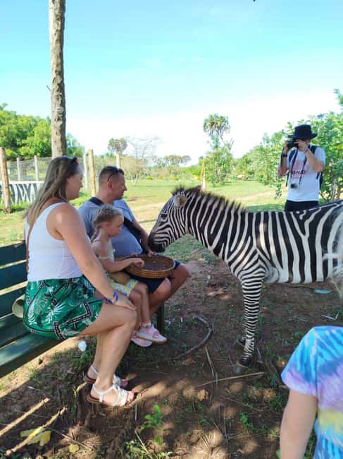 image n.5 of giraffe feeding activity in Diani, uploaded by supplier