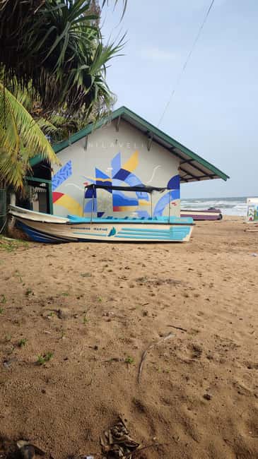 image n.4 of Trincomalee: Dolphin & Whale Watching Boat Tour activity in Nilaveli, uploaded by supplier