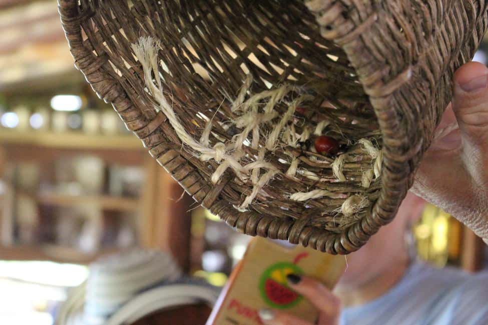image n.8 of Medellin: Coffee Tour with Hotel Transfers and Meals activity in Medellin, uploaded by supplier