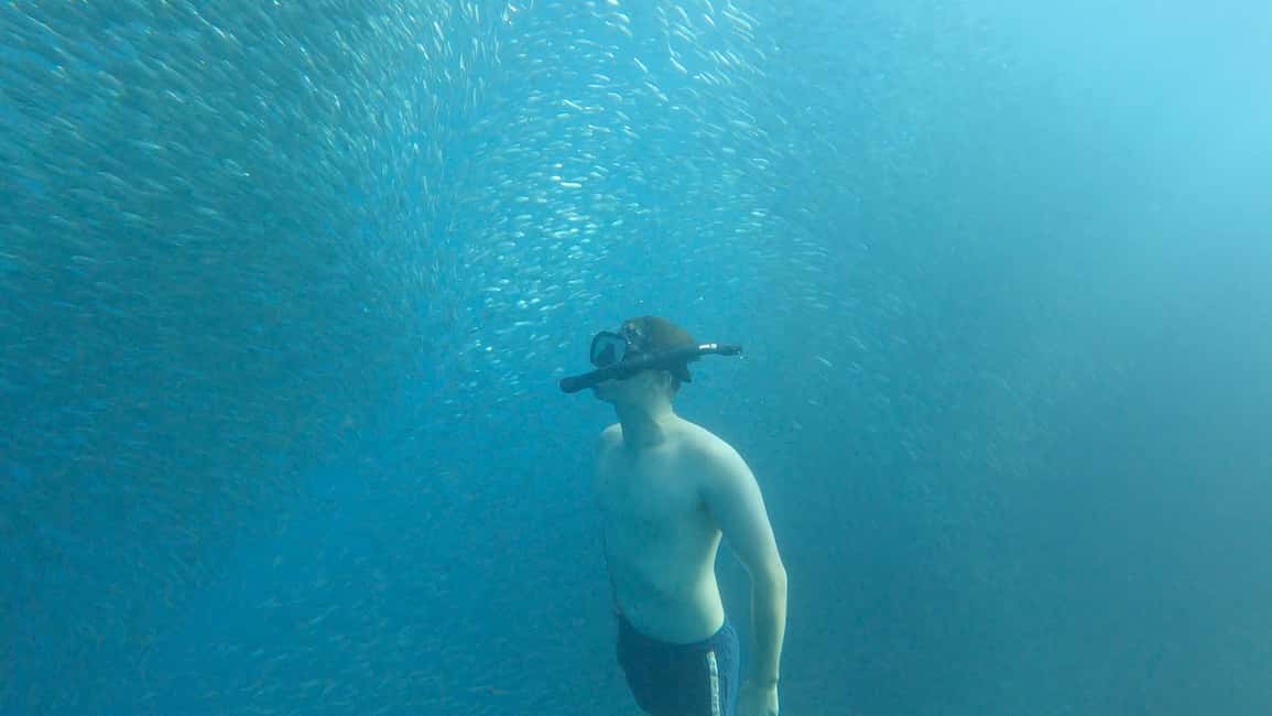 image n.23 of Cebu: Moalboal Sardines Run Snorkel & Kawasan Canyoneering activity in Badian, uploaded by supplier
