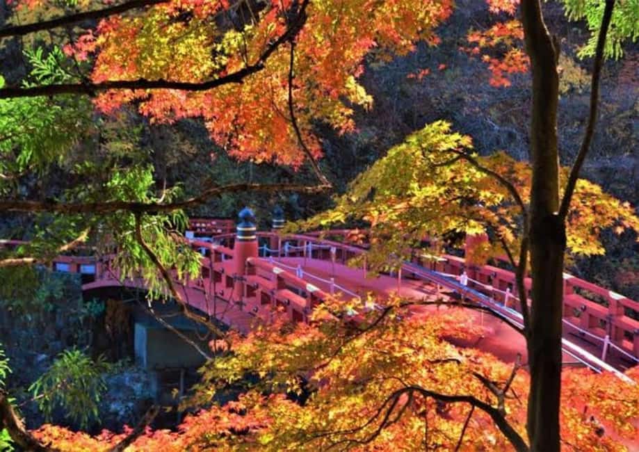 Immagine nº 32 di Da Tokyo: Tour di lusso di Nikko con guida in lingua inglese attività a Nikkō, caricata dal fornitore