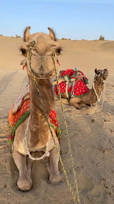image n.7 of Desert Rose Jaisalmer: Luxury Tent In Thar Desert activity in Jaisalmer, uploaded by supplier