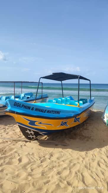image n.13 of Trincomalee: Dolphin & Whale Watching Boat Tour activity in Nilaveli, uploaded by supplier